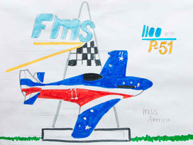 FMS Paper Plane  (1).jpg__PID:1322e70a-143b-47b3-815c-223e5991e302