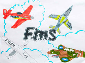 FMS Paper Plane  (3).jpg__PID:e70a143b-c7b3-415c-a23e-5991e30260a4