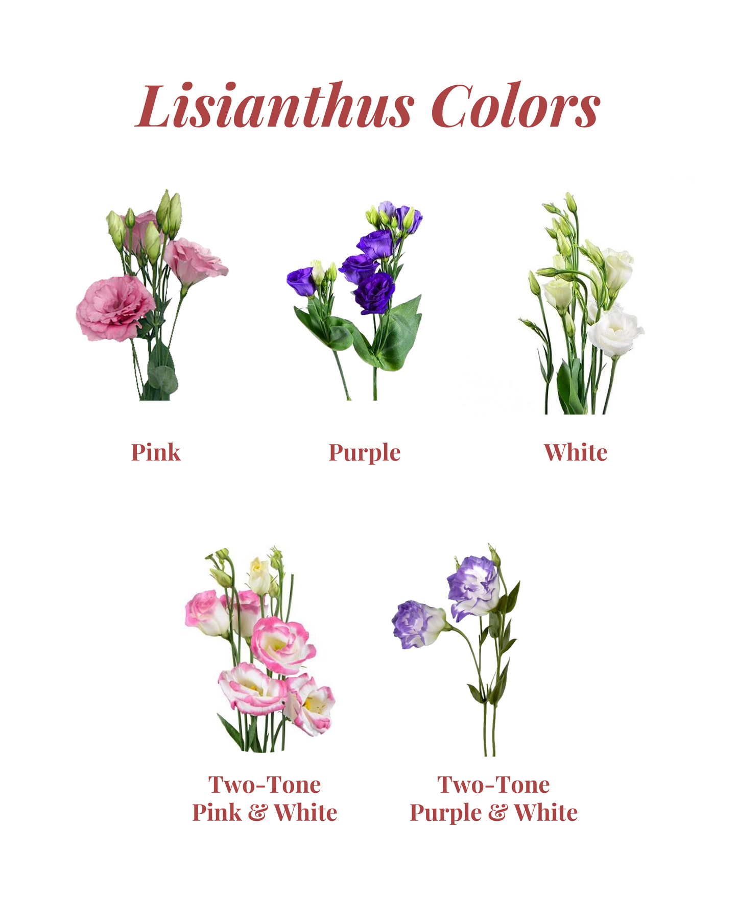 lisianthus bouquet