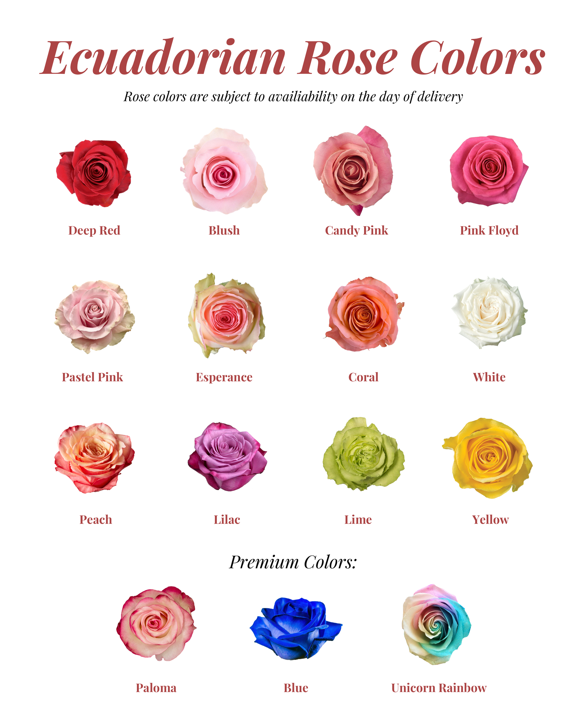 Ecuadorian Rose Bouquet | ubicaciondepersonas.cdmx.gob.mx