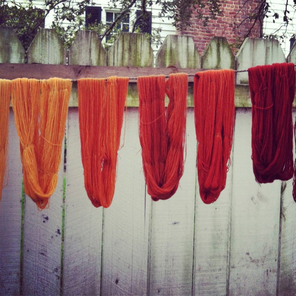 Various shades of Madder dyed fabric drying