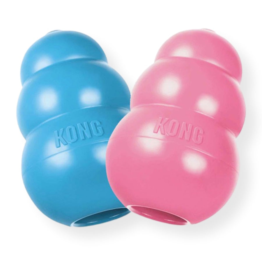 Kong Wobbler Small - Dog-Toys-Chew : Pet Shop Auckland –  - Kong