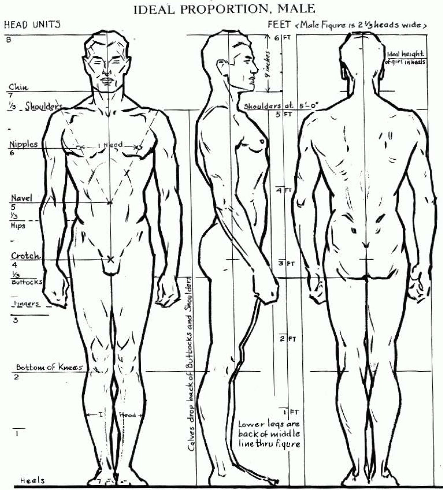 Easy Guide on How to Draw People of All Shapes and Actions