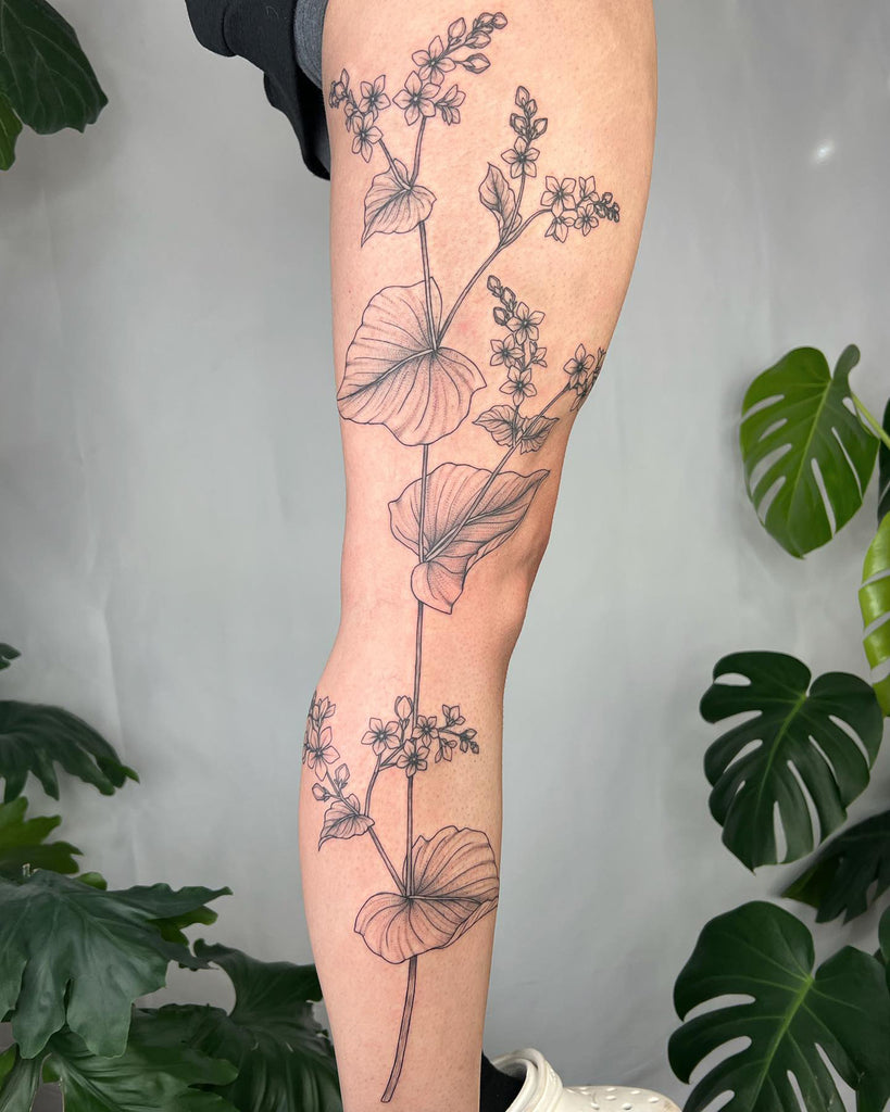coffee plant . . . #tattoo #tattoos #tattoolife #tattoolove #tattoolover  #tattoodesign #tattooidea #tattoodrawing #tattooflash #tattooed… | Instagram