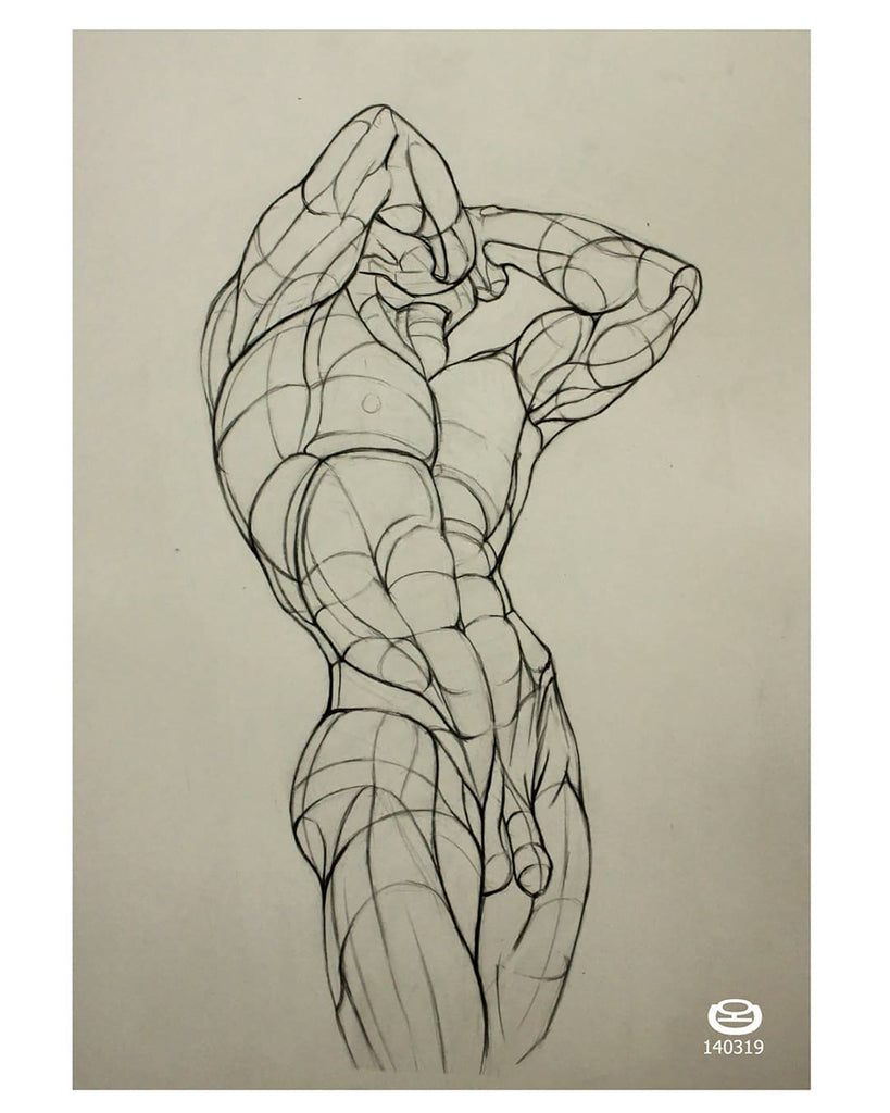 30 Best Human Anatomy illustration Ideas You Should Check