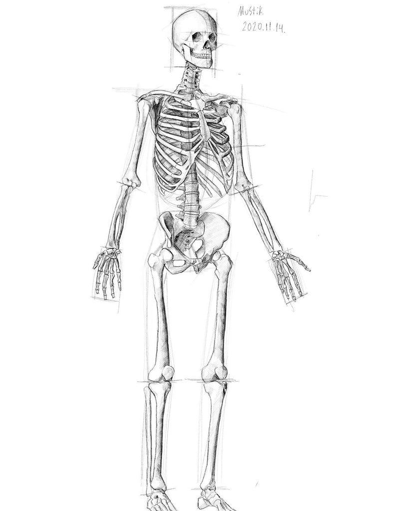 30 Best Human Anatomy illustration Ideas You Should Check