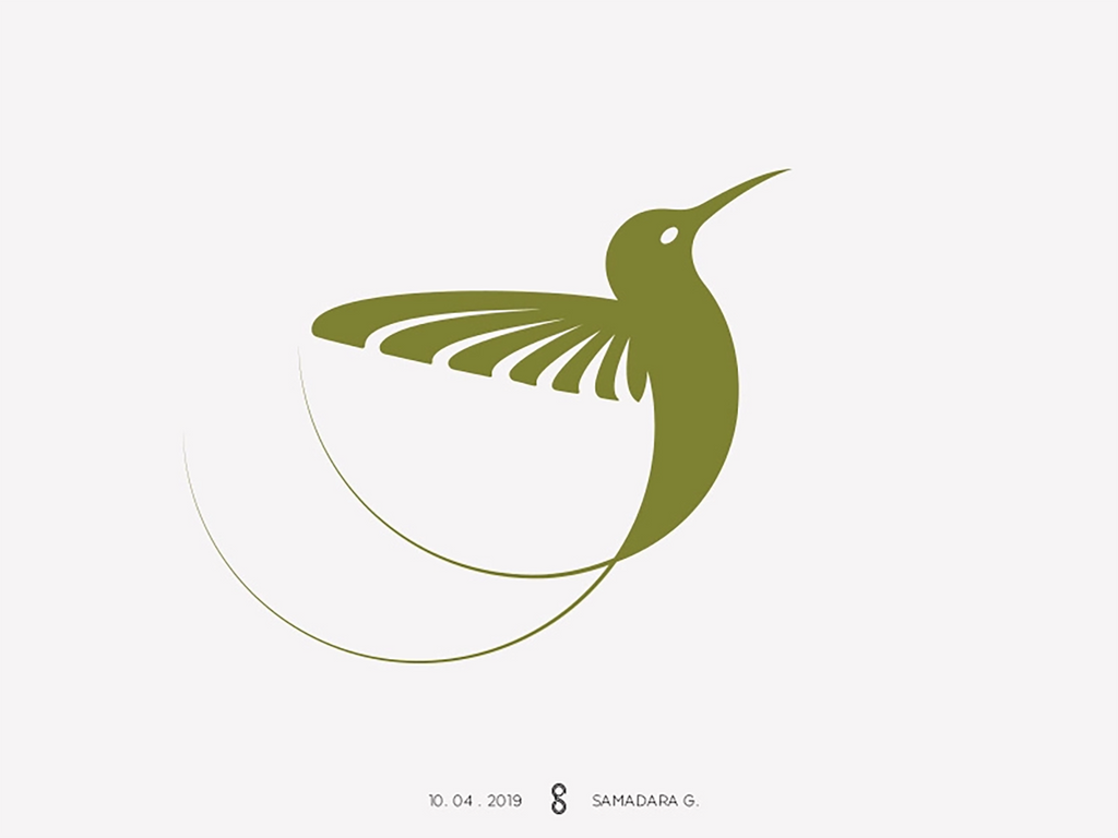 hummingbird travel logo