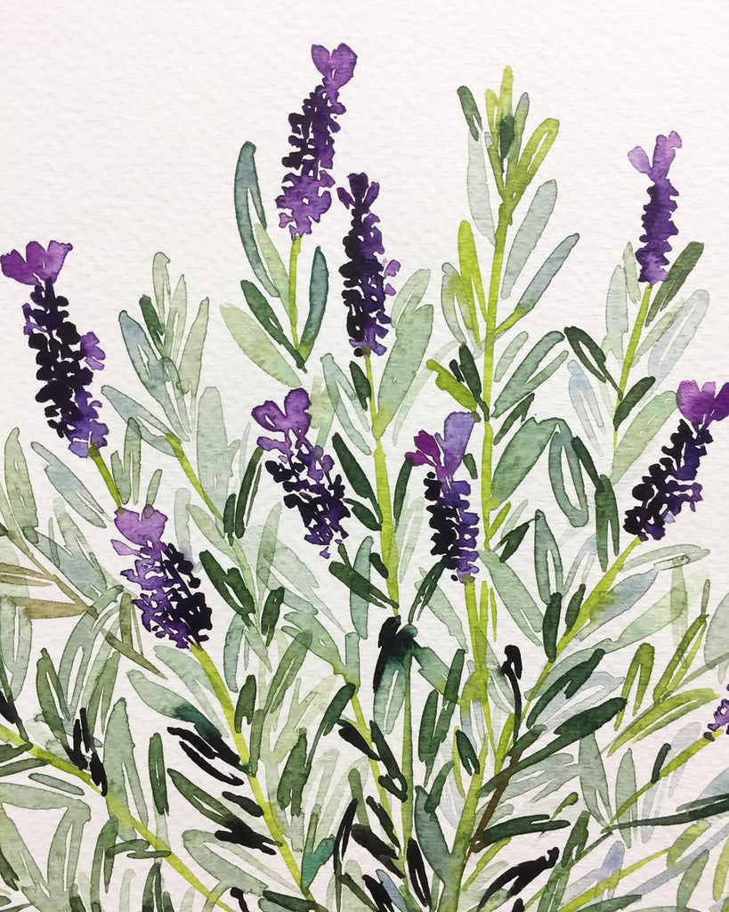 30 Best Lavender Illustration Ideas You Should Check