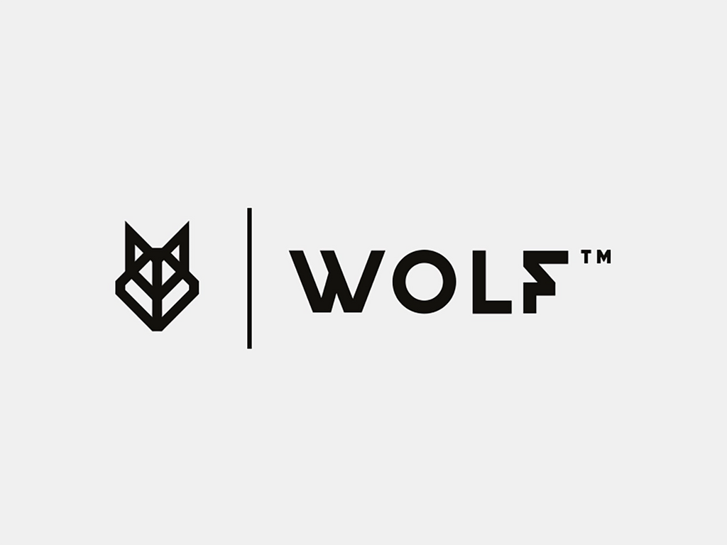 Слово wolf. Wolf логотип. Wolf котлы логотип. Бренд с волком на логотипе. Бренд одежды с эмблемой волка.