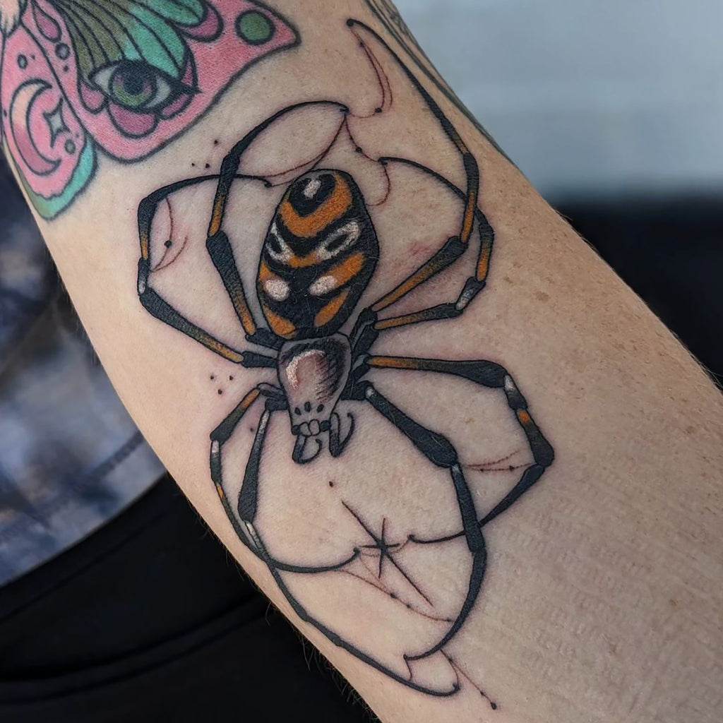 spider tattoo – All Things Tattoo