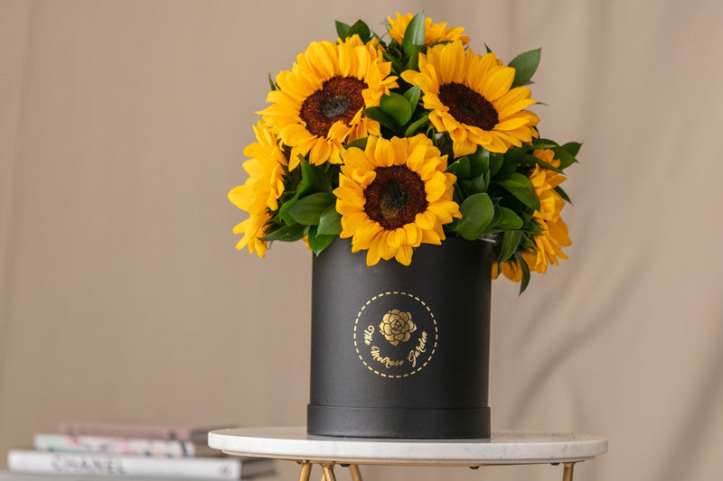 Girasoles – Melrose