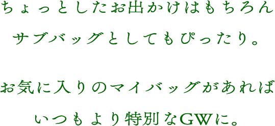 ちょっとしたお出かけはもちろんサブバッグとしてもぴったり。お気に入りのマイバッグがあればいつもより特別なGWに。