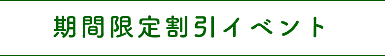 期間限定割引イベント