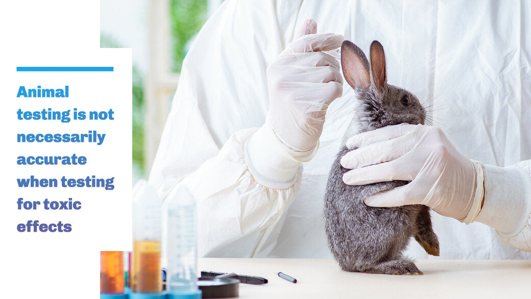 Animal experimentation up 73 percent, study says - CBS News