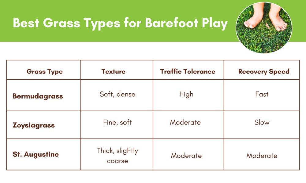 Best Grass Types for Barefoot Play