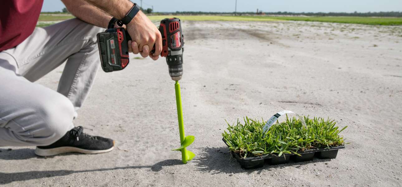 essential-tools-for-grass-plugging
