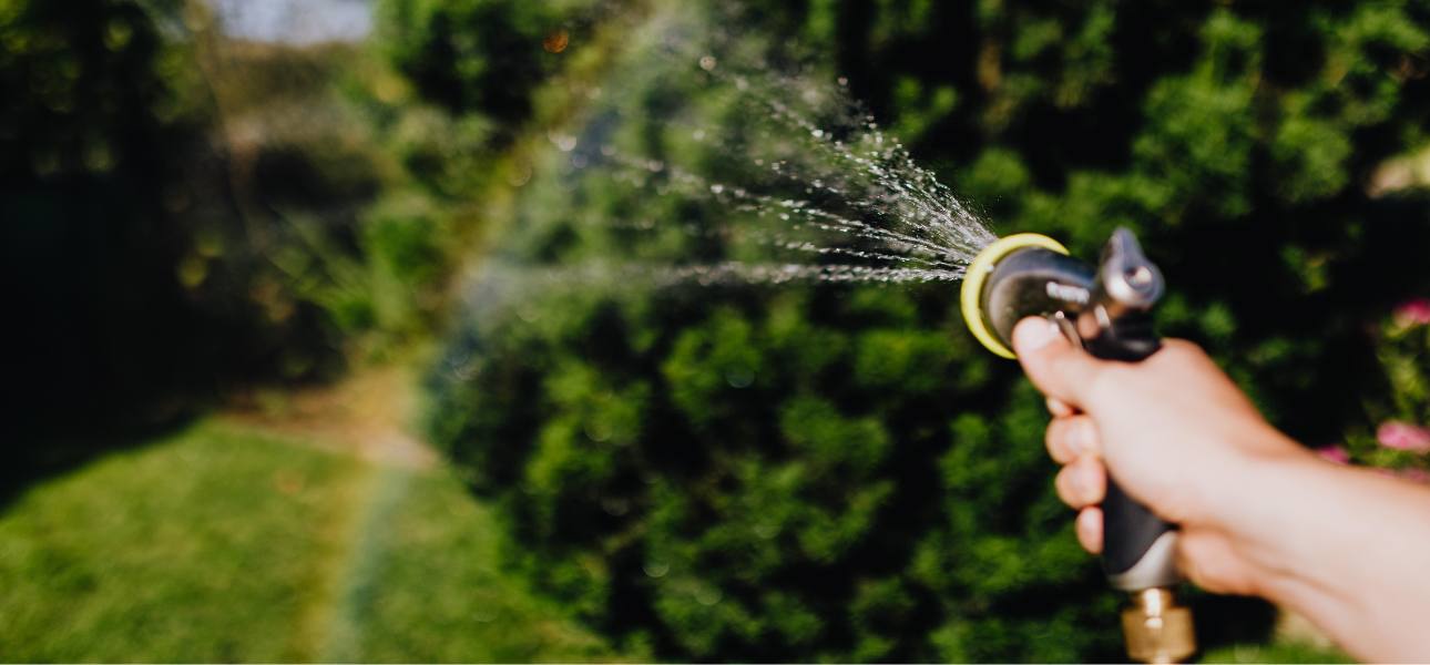 factors-to-consider-when-watering-your-lawn