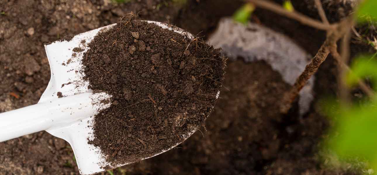 how-to-improve-drainage-in-clay-soil