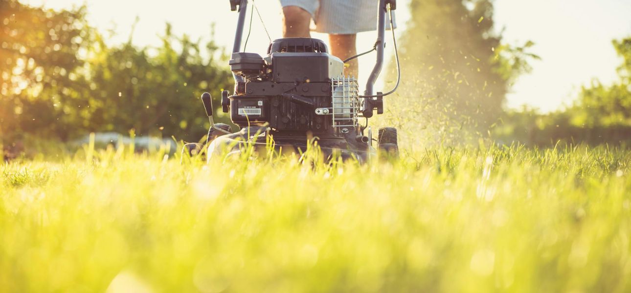 how-to-prevent-thatch-buildup