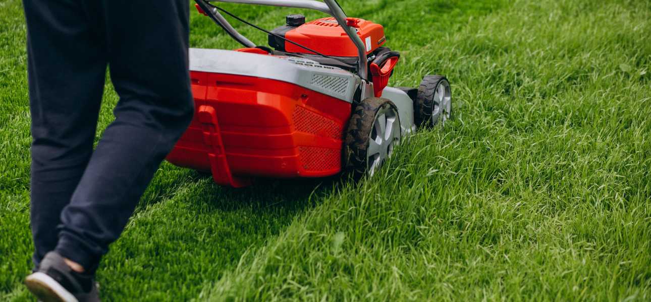 when-should-you-not-mow-your-lawn