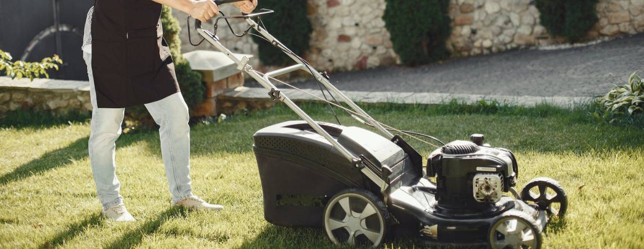 A look at Rotary vs Reel mowers - Lawn Solutions Australia