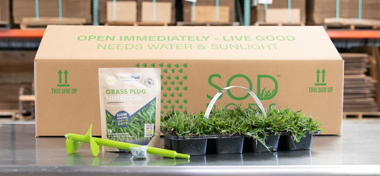 sodpods-grass-plug-nutripod-fertilizer