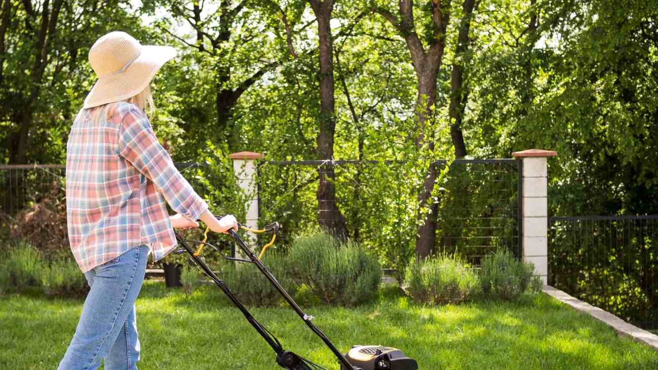 spring-lawn-care-maintenance