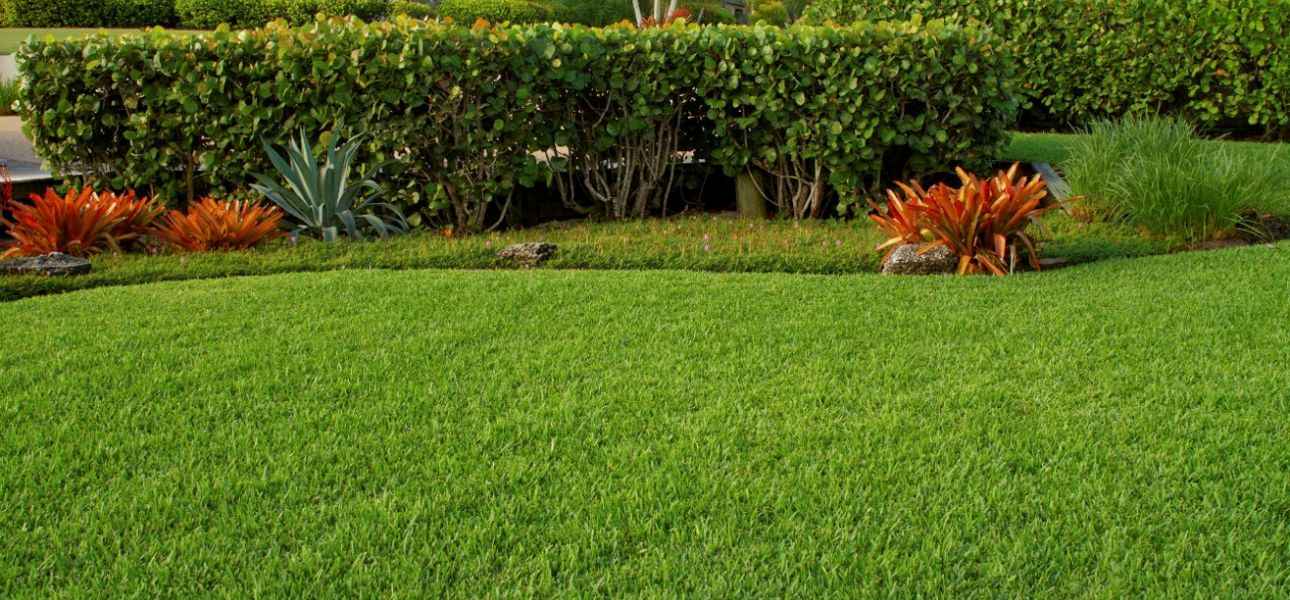 spring-lawn-care-tips