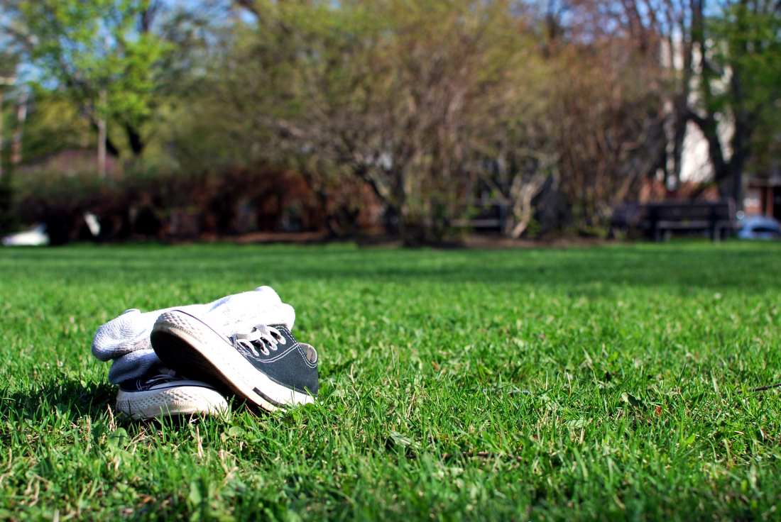 types-of-soft-grass-for-lawn