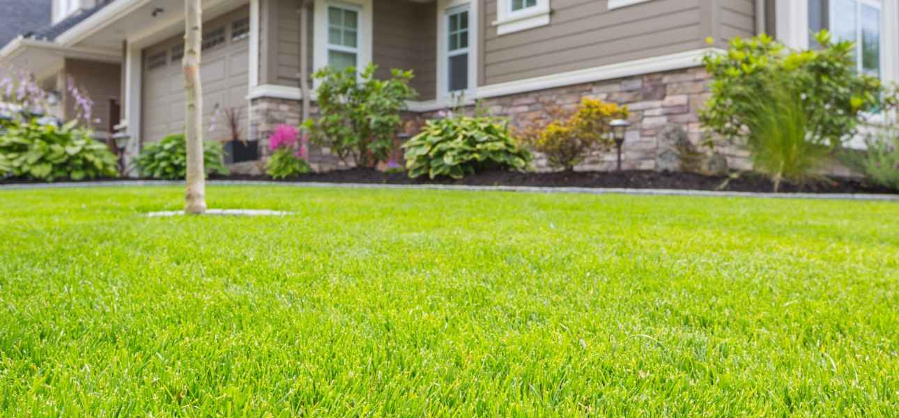 when-to-aerate-lawn