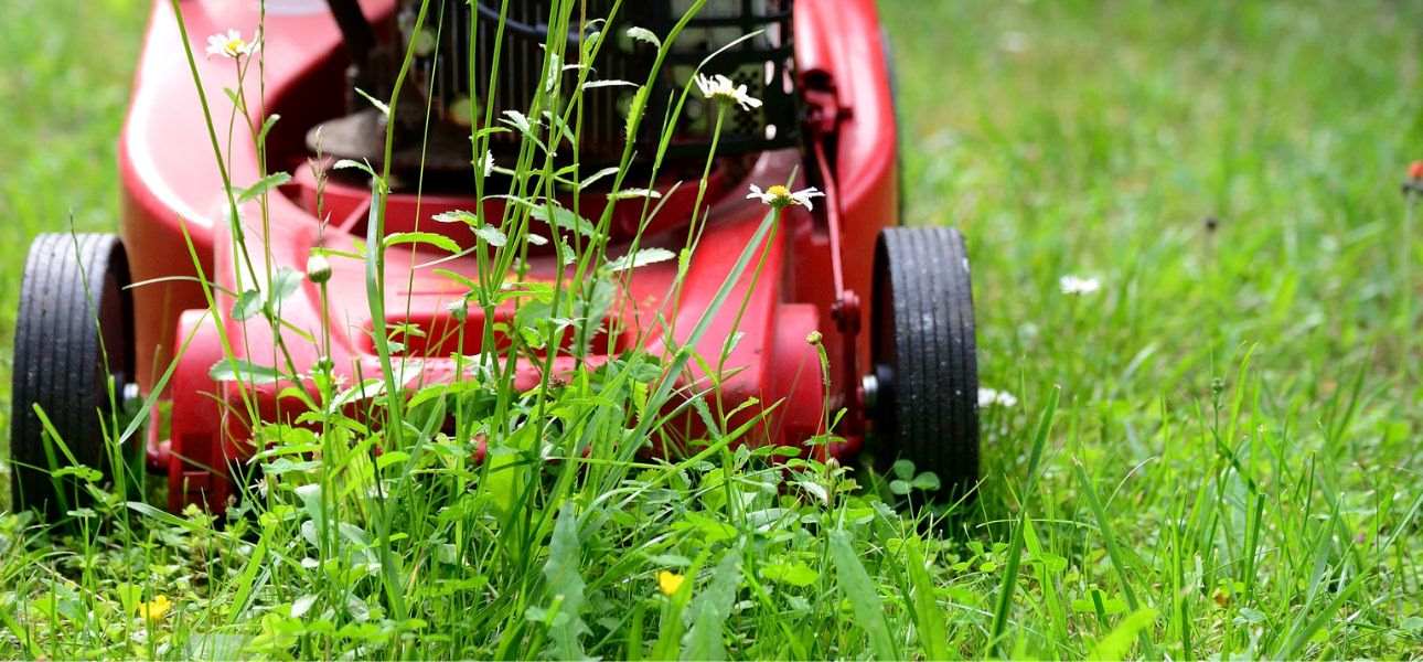 when-to-start-mowing--lawn-in-spring