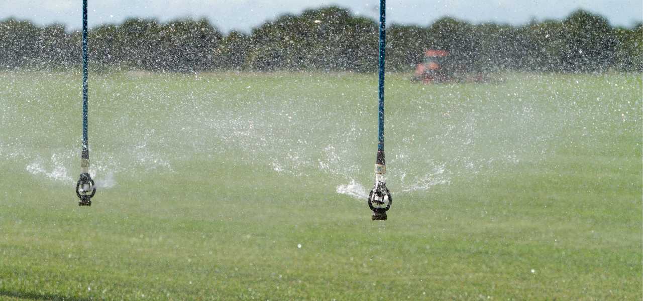 signs-your-lawn-is-not-getting-enoug-water