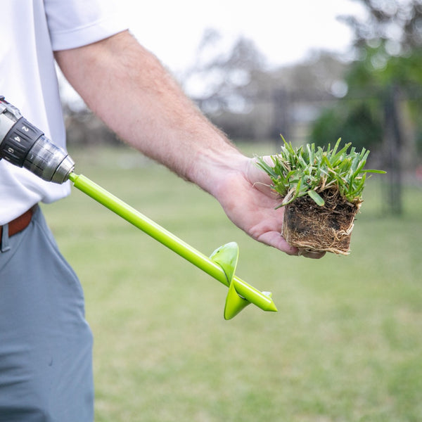 A person following a step-by-step plan for lawn rehabilitation after Halloween, with SodPods Grass Plugs