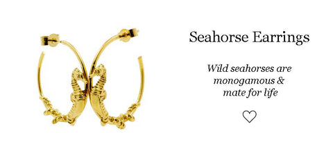 Seahorse Earrings