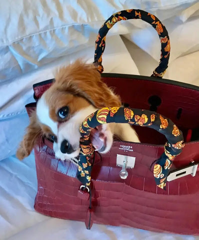 “I was hooked from the first time I went into his shop,” Walborn, whose dog Elton and crocodile leather Birkin are pictured, said of Mack’s pawn shop.