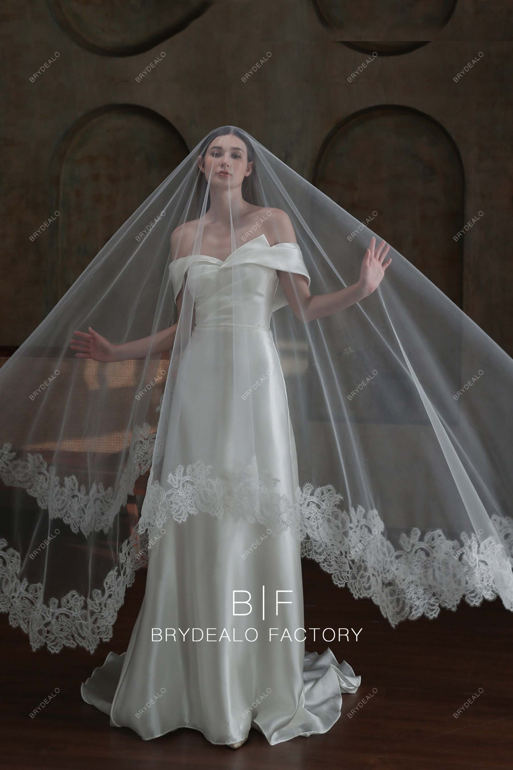 Lace Wedding Veil FN-056, 118 Inches Bridal Veil, Tulle Cathedral