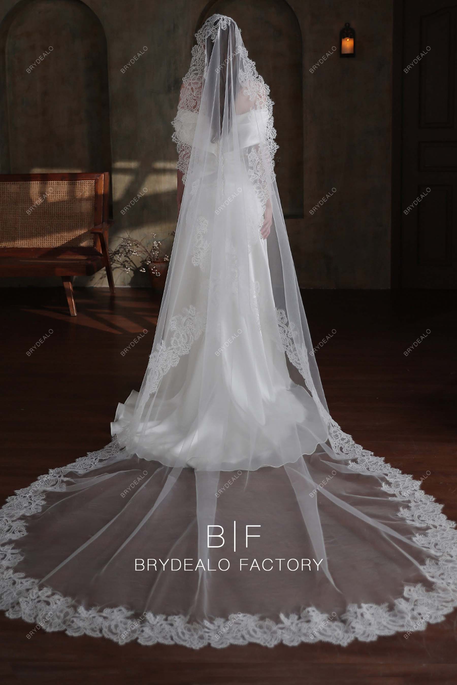 Customizable Lace Cut Edge Cathedral Length Wedding Veil Cathedral Length  With Applique Detailing And Free Combs 2019 Wedding Collection From  Newdeve, $44.1
