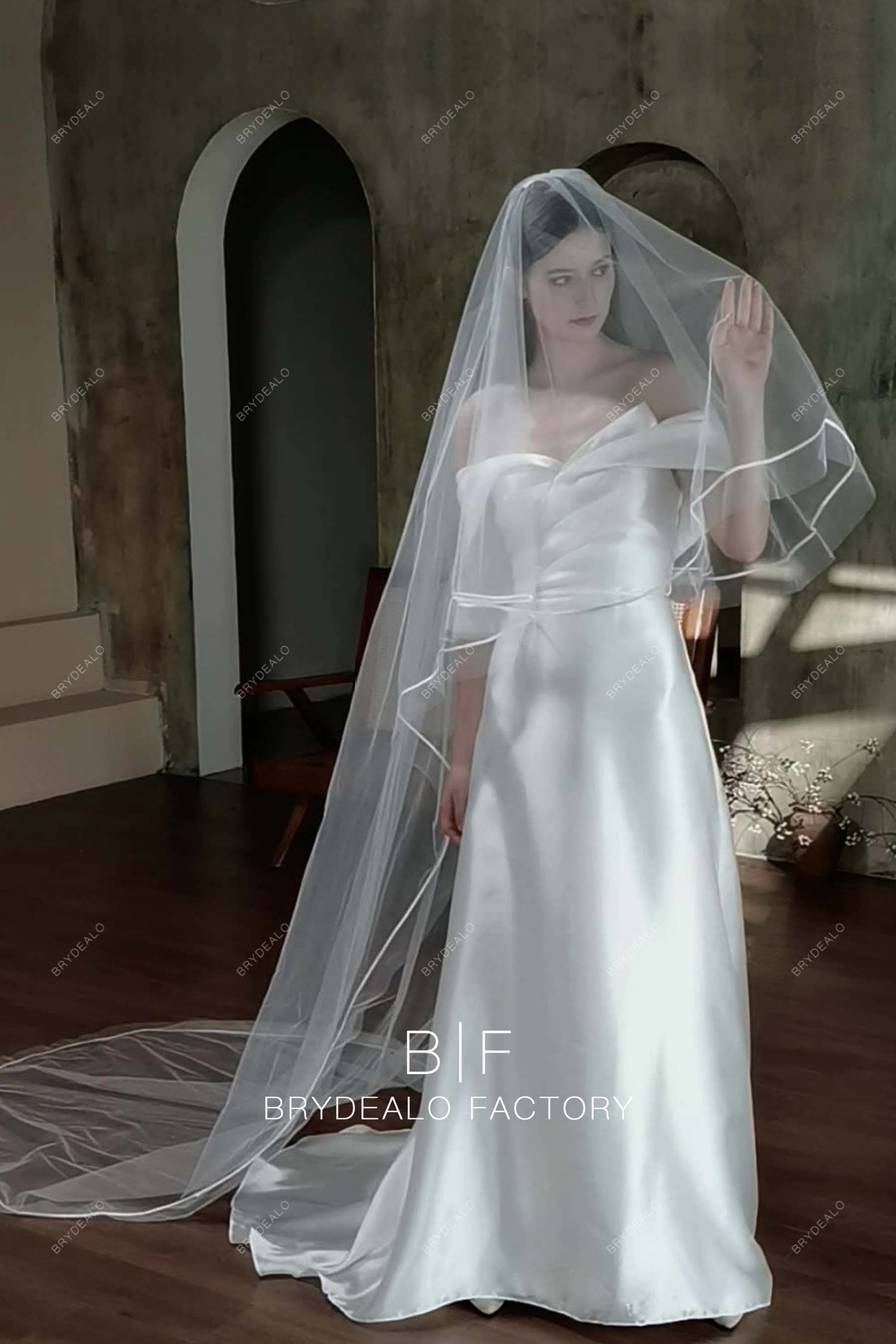 Simple Cathedral Length Tulle Wedding Veil – loveangeldress