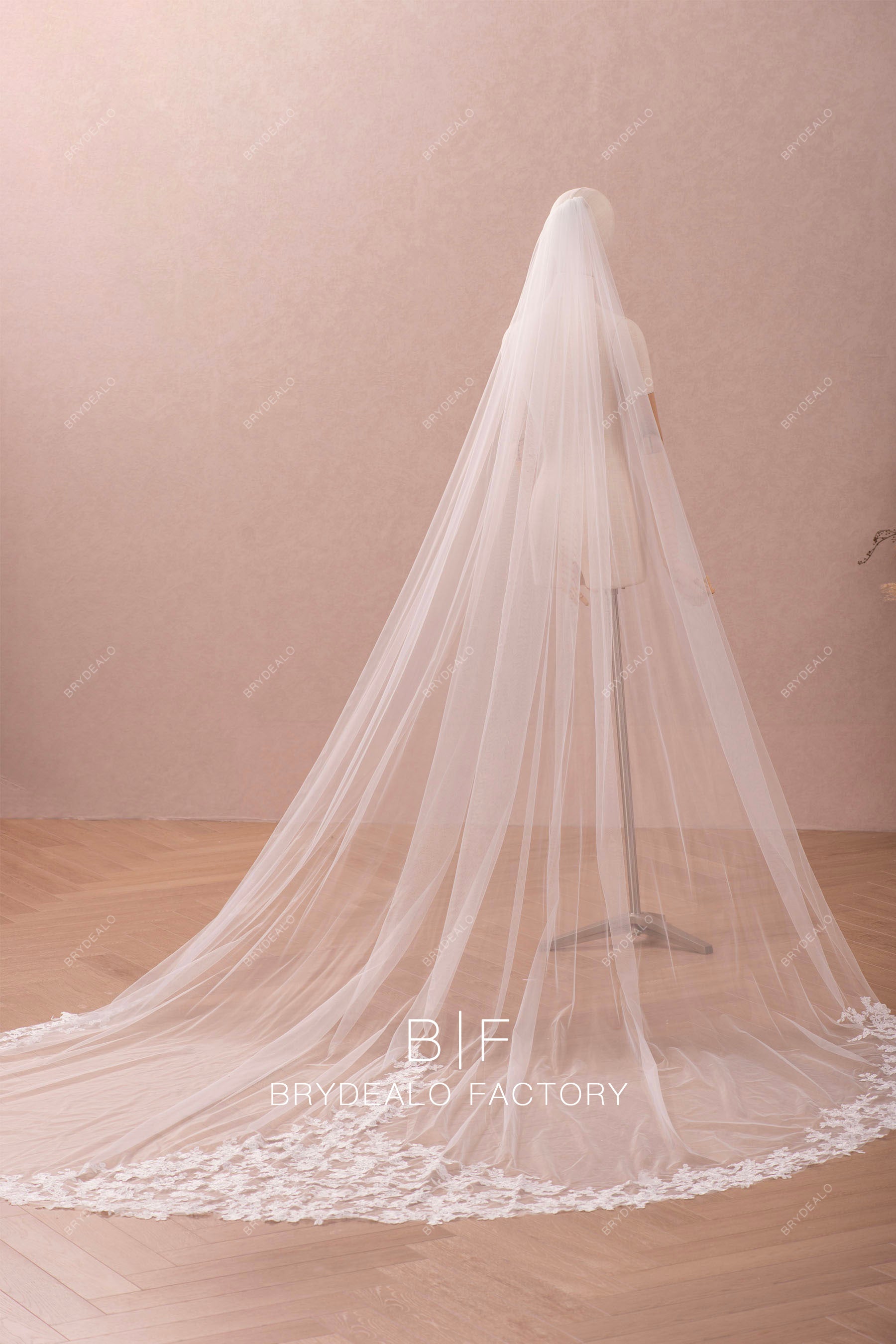 https://cdn.shopify.com/s/files/1/0558/7599/3647/files/cathedral-length-tulle-lace-wedding-veil-CM0022.jpg?v=1685437289&width=1800