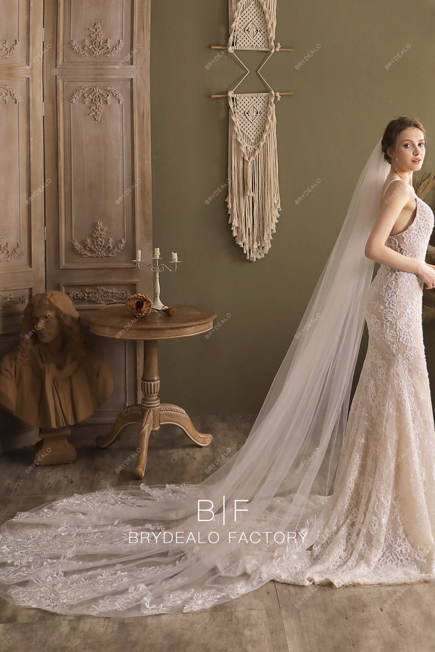 https://cdn.shopify.com/s/files/1/0558/7599/3647/files/lace-long-bridal-veil-08197.jpg?v=1697702350&width=1800