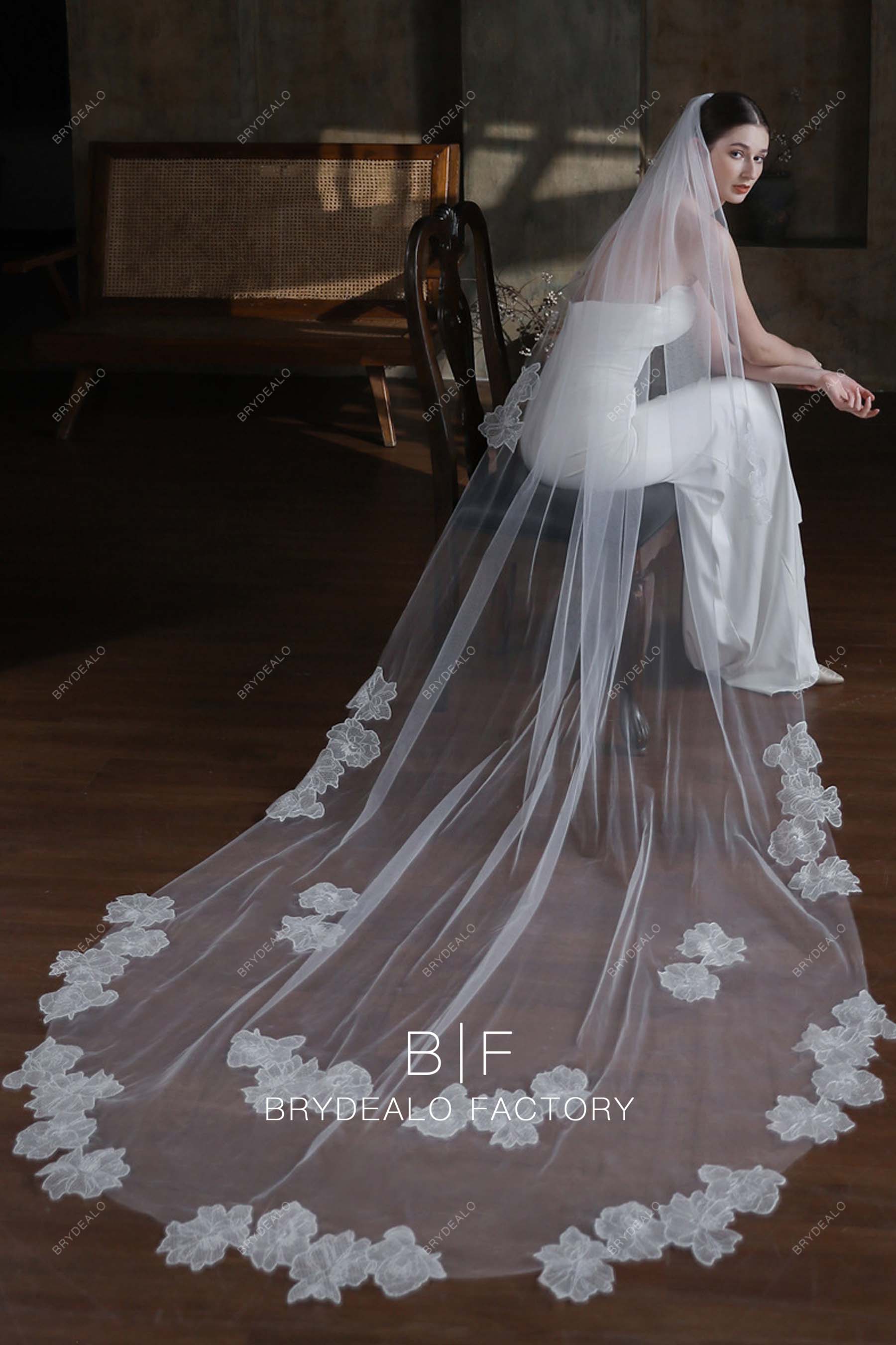 https://cdn.shopify.com/s/files/1/0558/7599/3647/files/lace-long-wedding-veil-08192.jpg?v=1697700069&width=1800