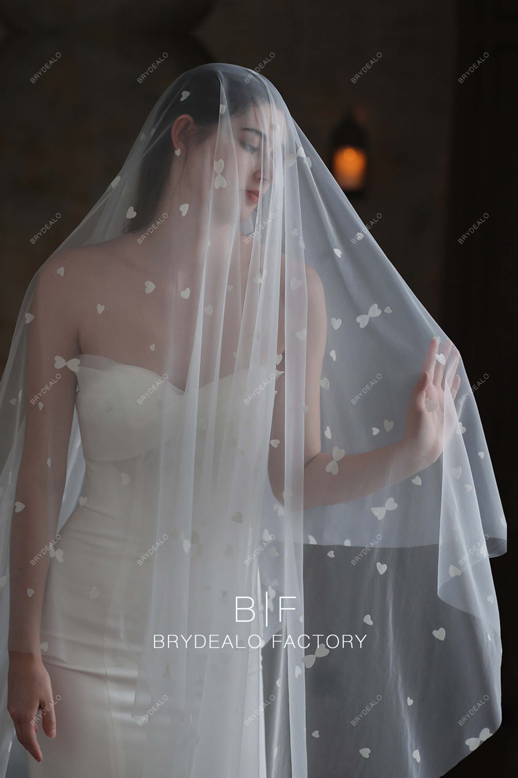 Fairy Tale Worthy Cathedral Length Lace Bridal Veil Fit For A Princess –  Simibridaldresses