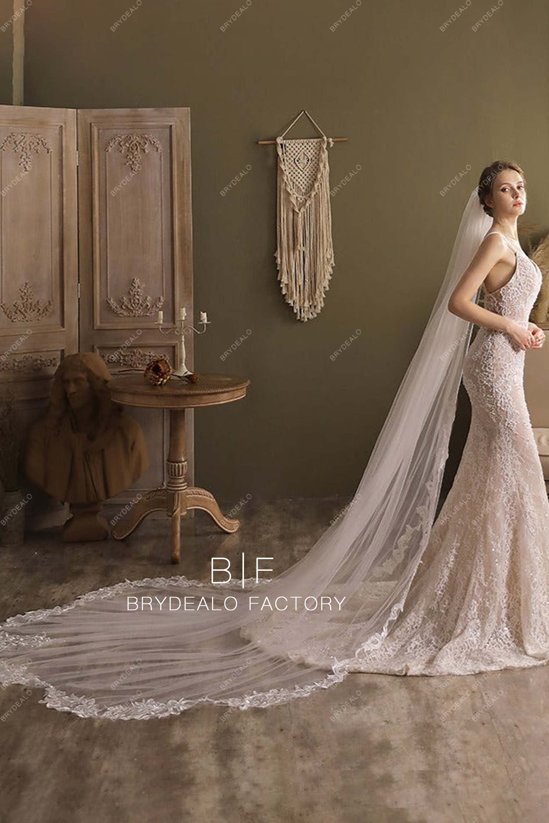 https://cdn.shopify.com/s/files/1/0558/7599/3647/products/Cathedral-Length-Wedding-Veil.jpg?v=1668578812&width=1800