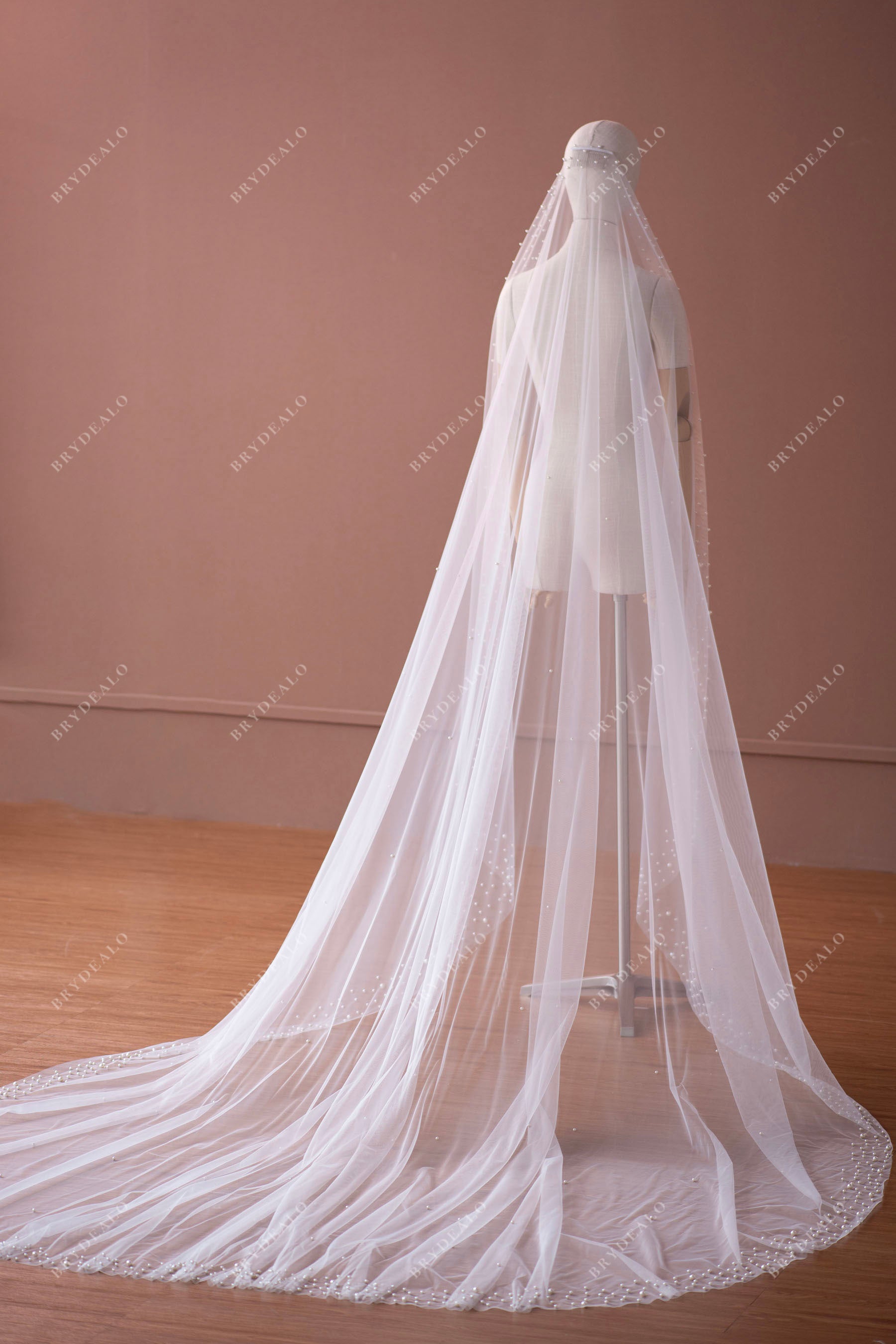 Lace Wedding Veil FN-056, 118 Inches Bridal Veil, Tulle Cathedral Length,  Veil With Comb, One Tier Veil, Bundle Veil 