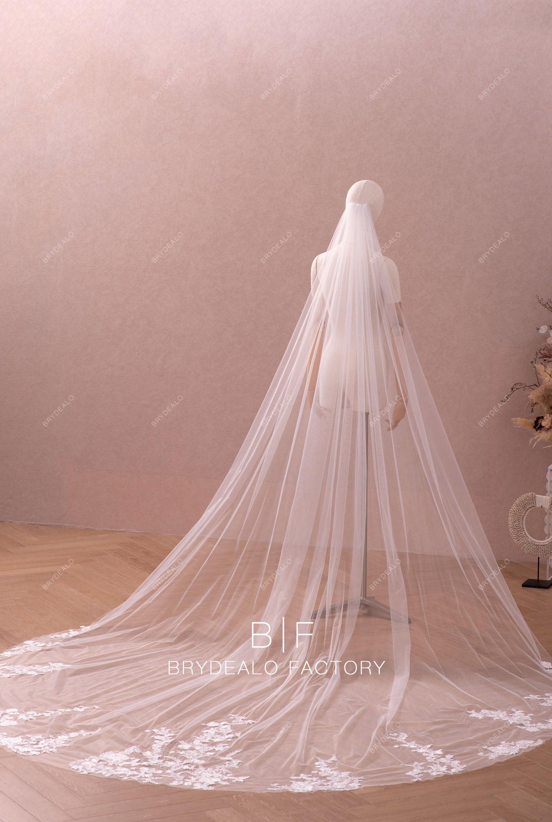 Lace Wedding Veil FN-056, 118 Inches Bridal Veil, Tulle Cathedral Length,  Veil With Comb, One Tier Veil, Bundle Veil 