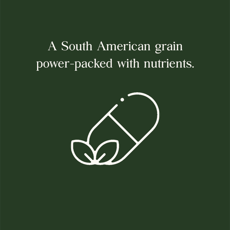 Quinoa is a south american grain power-packed with nutrients