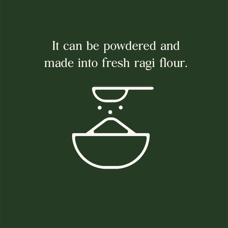 Ragi can be powdered and made into fresh ragi flour