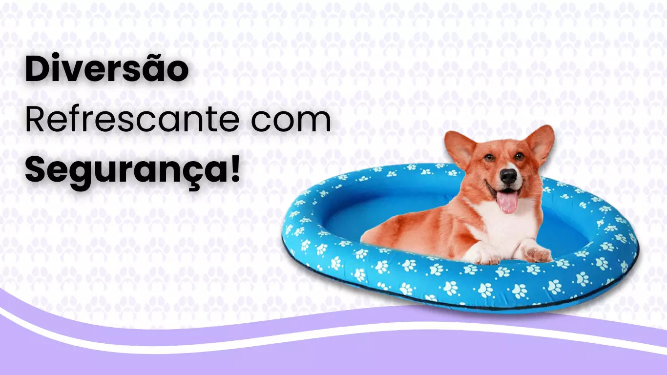 Boia Aquática Flutuante para Cães