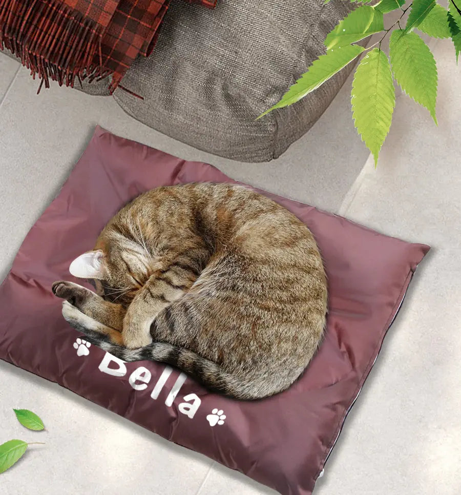 Cama_Personalizavel_com_Nome_do_Seu_Pet