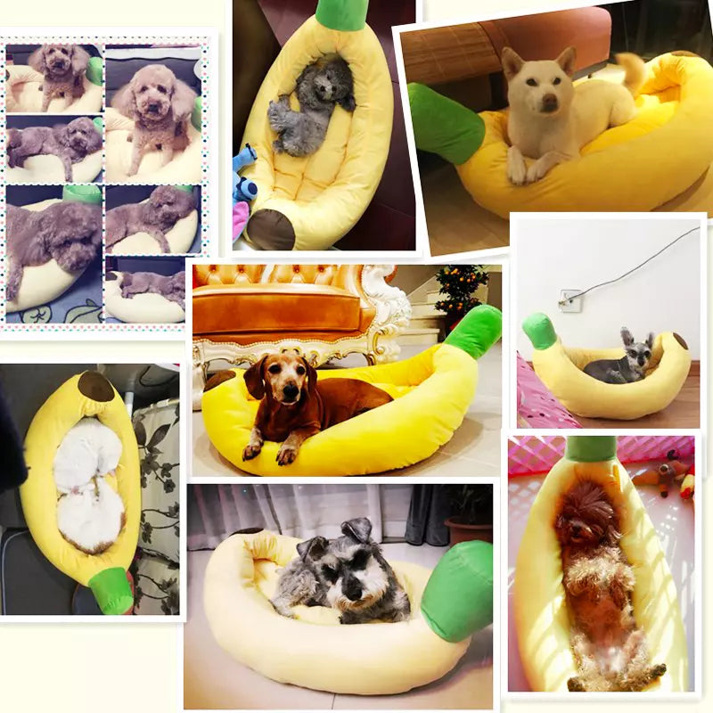 Cama Pet em Formato de Banana - Movimento Pet